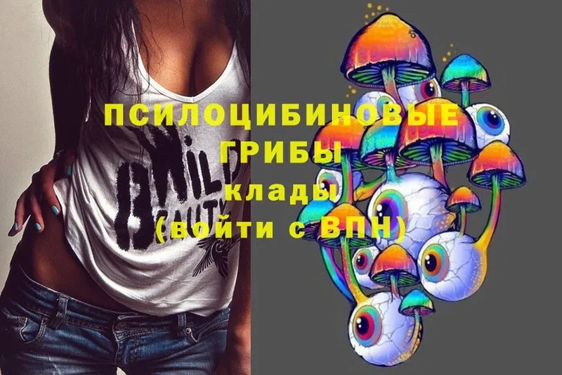 Галлюциногенные грибы Psilocybe Белово